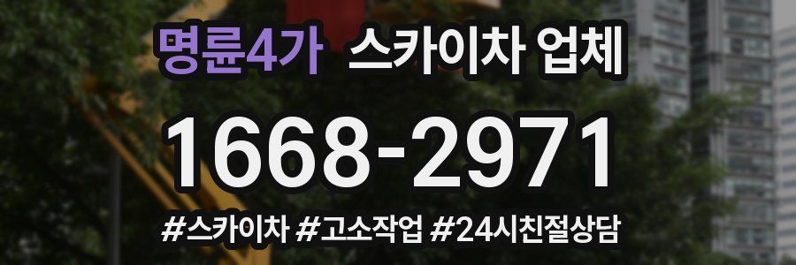 명륜4가 스카이차 업체