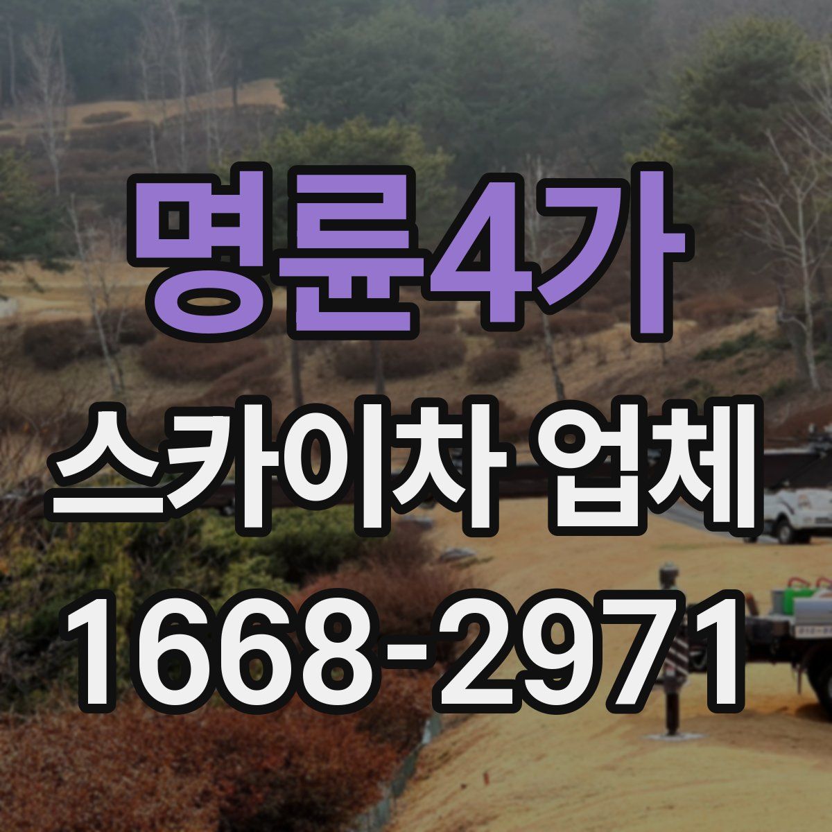 명륜4가 스카이차 업체