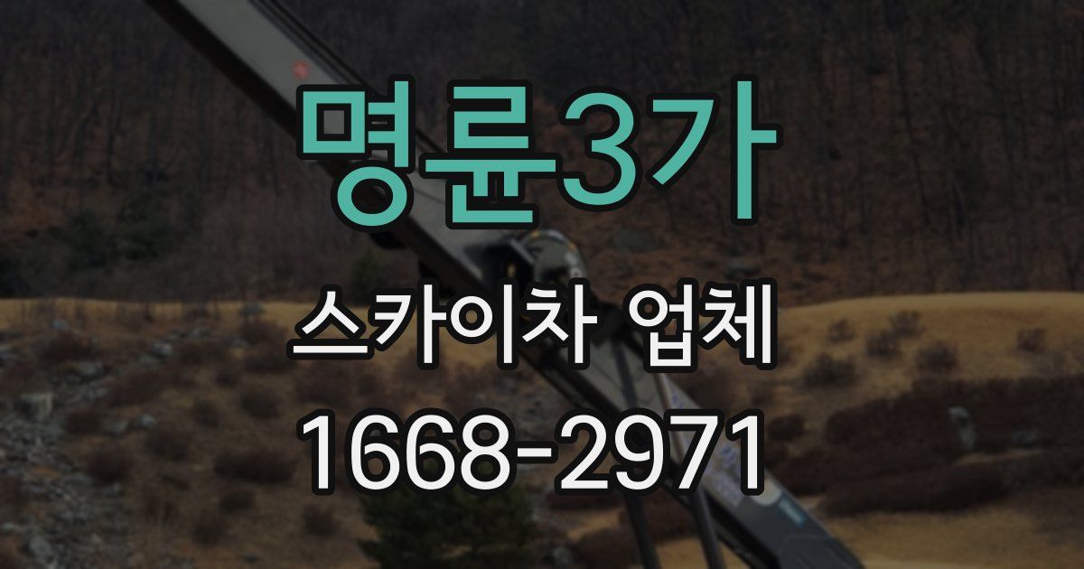 명륜3가 스카이차 업체