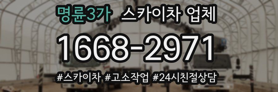 명륜3가 스카이차 업체