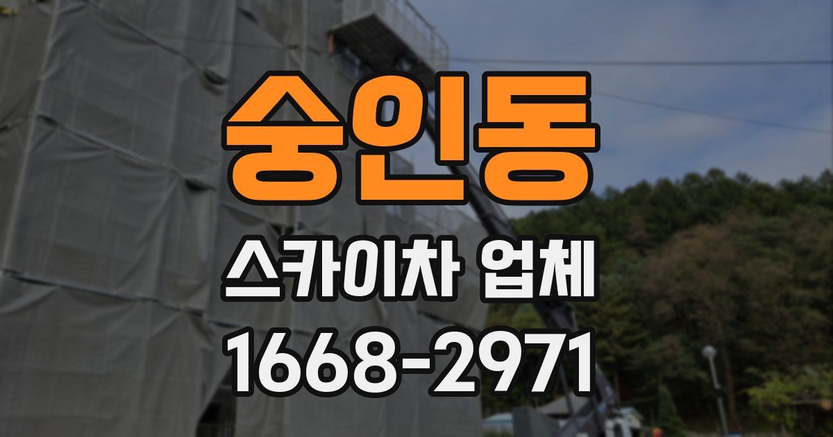 숭인동 스카이차 업체