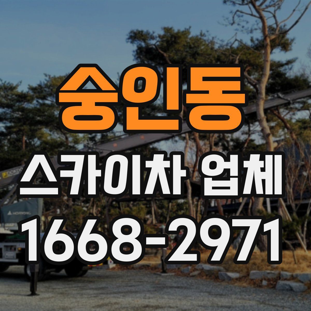 숭인동 스카이차 업체