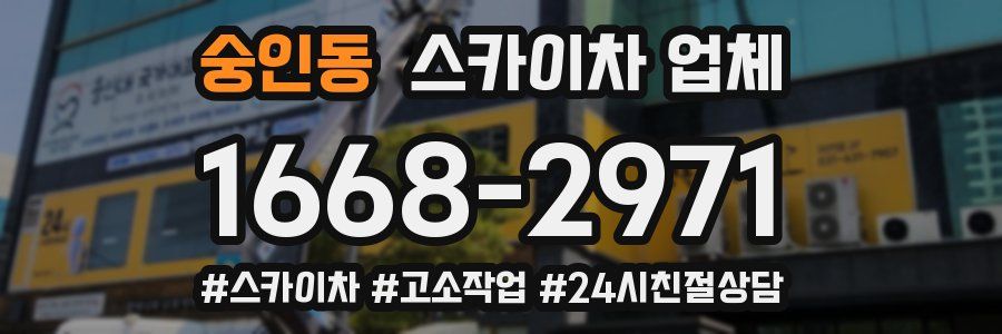 숭인동 스카이차 업체