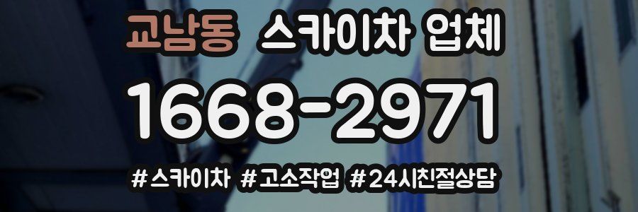 교남동 스카이차 업체