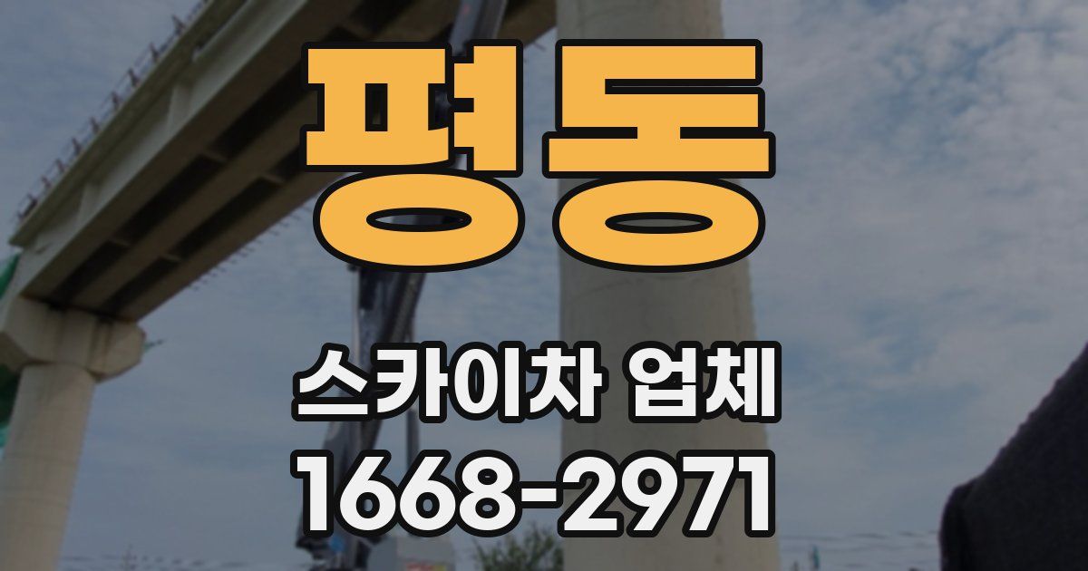 평동 스카이차 업체