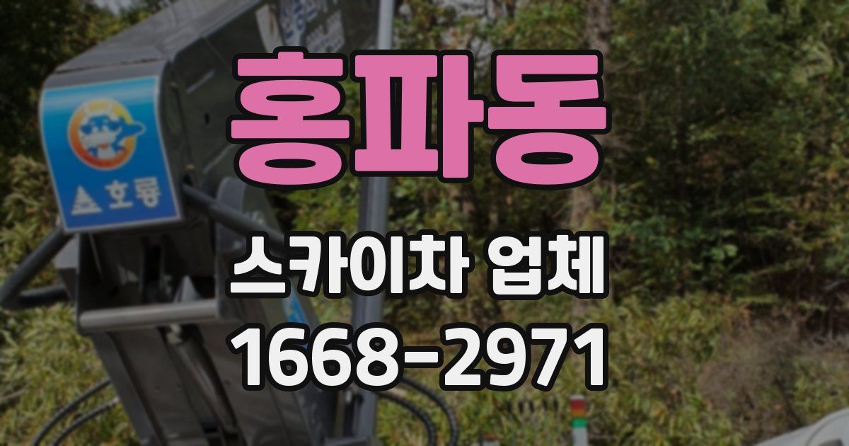 홍파동 스카이차 업체