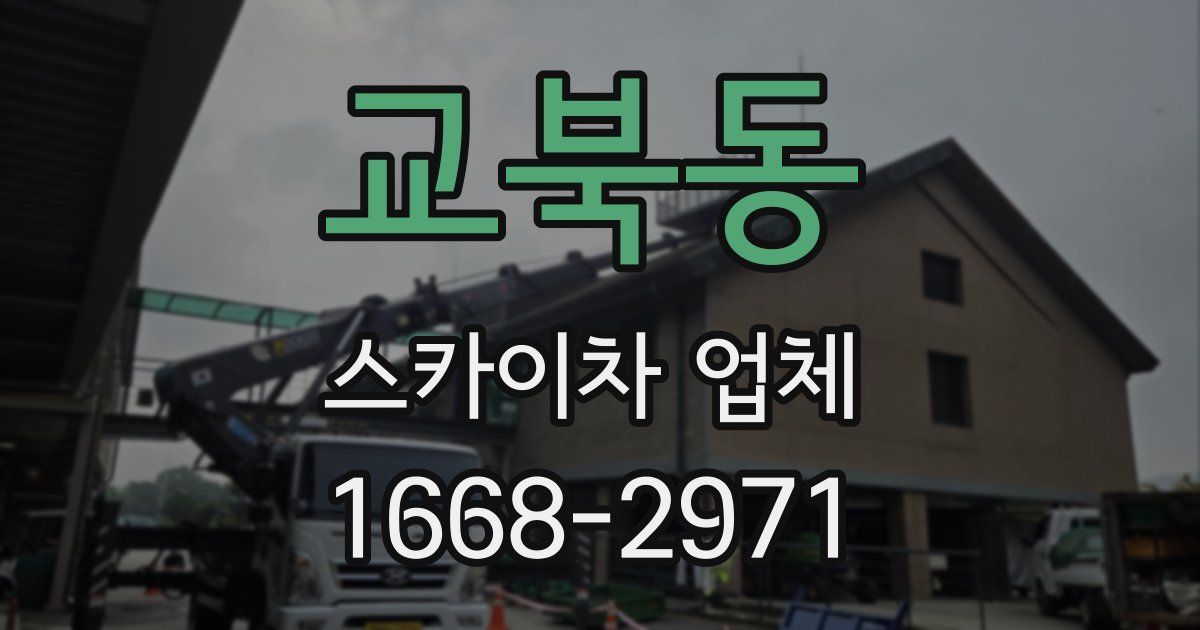 교북동 스카이차 업체