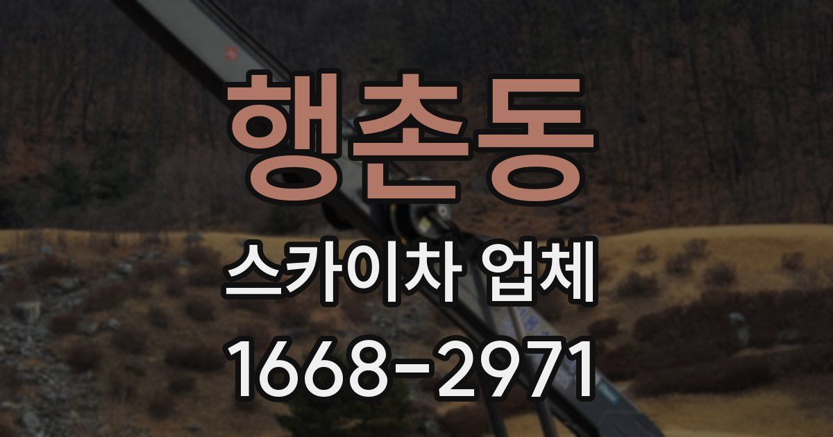 행촌동 스카이차 업체