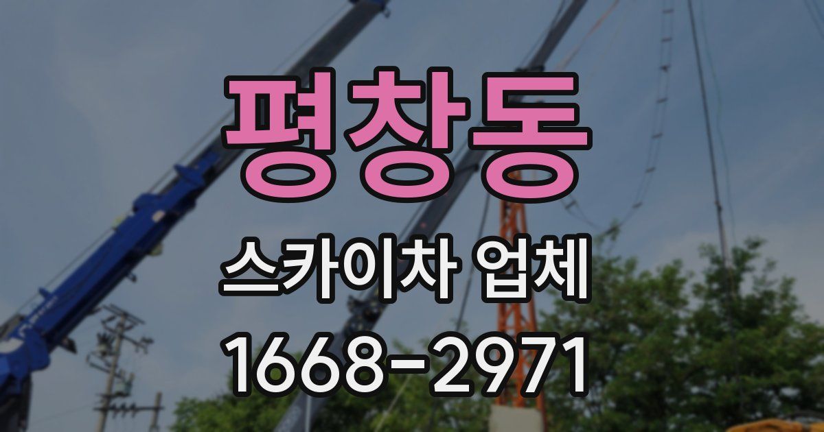 평창동 스카이차 업체