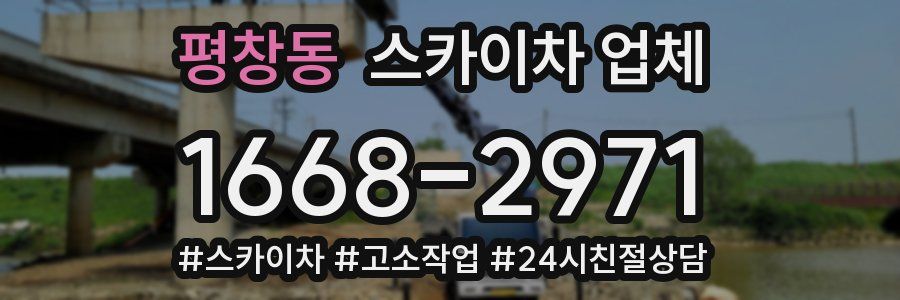 평창동 스카이차 업체