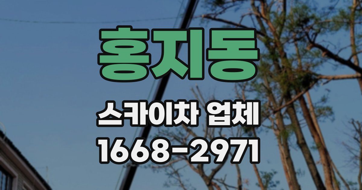 홍지동 스카이차 업체