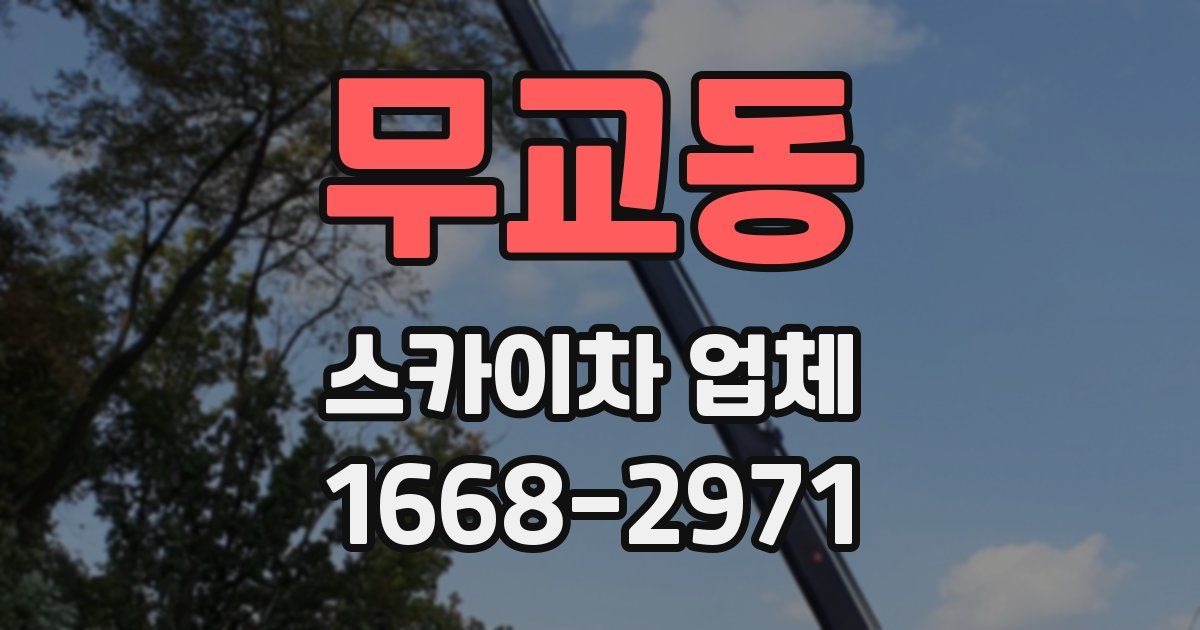 무교동 스카이차 업체