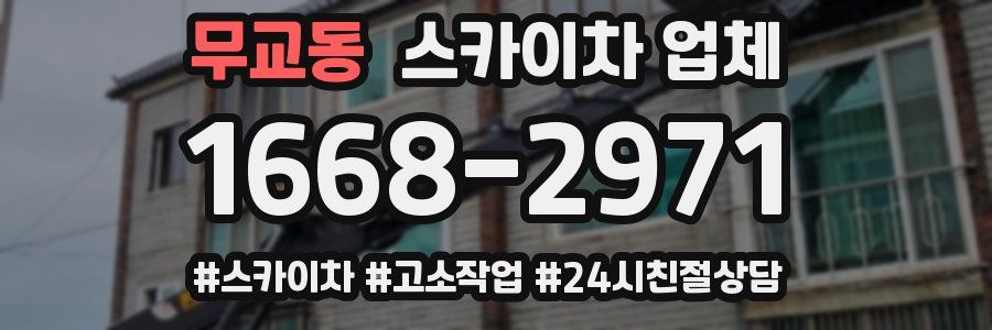 무교동 스카이차 업체