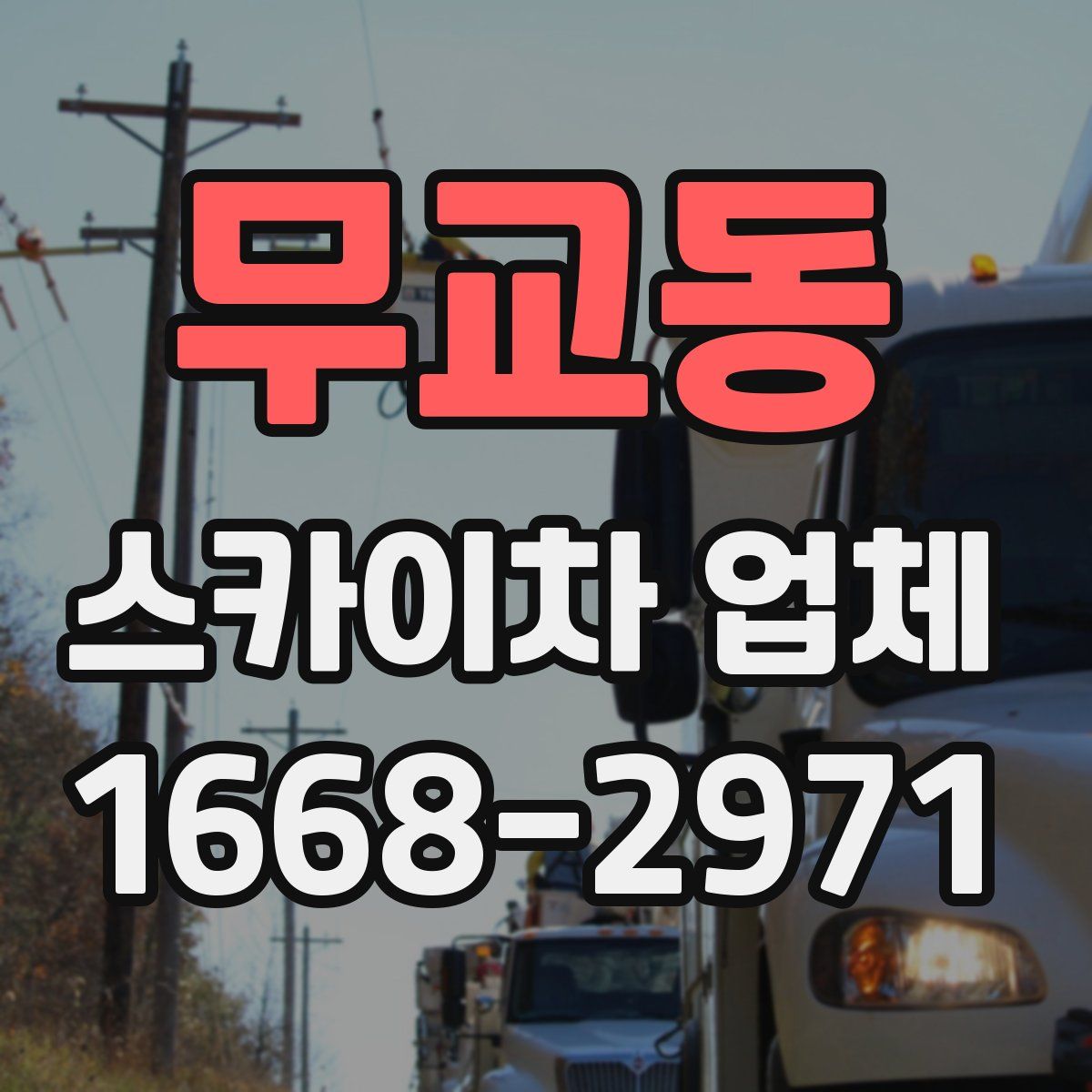 무교동 스카이차 업체