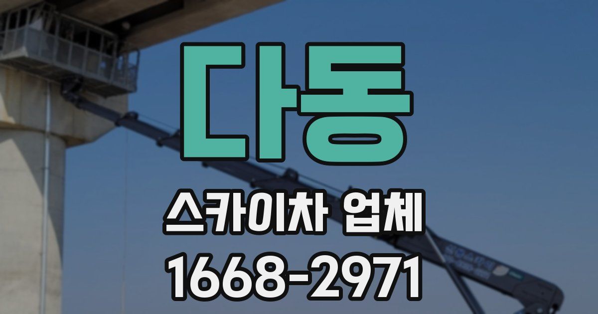 다동 스카이차 업체