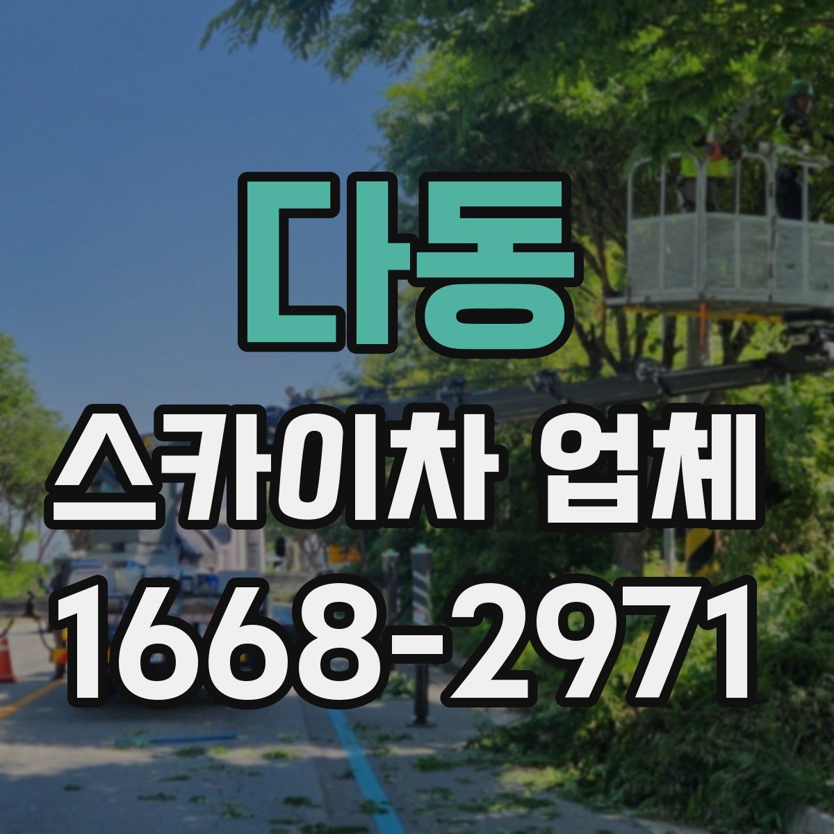 다동 스카이차 업체