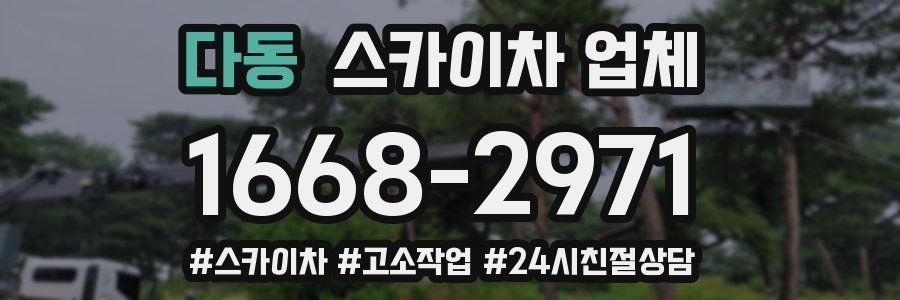 다동 스카이차 업체