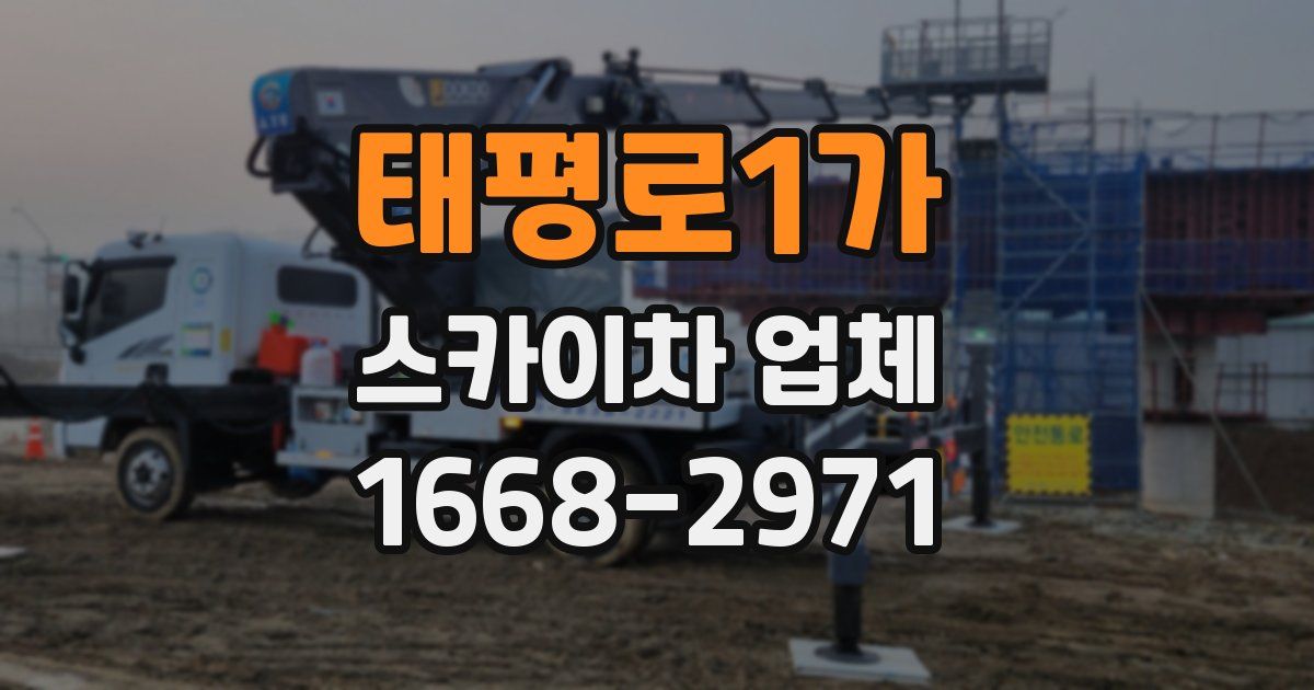 태평로1가 스카이차 업체