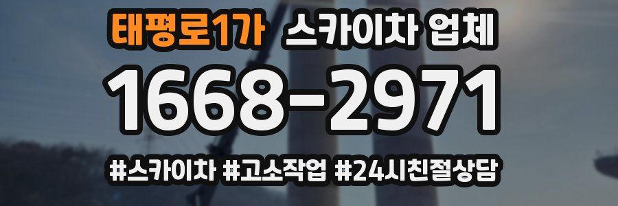 태평로1가 스카이차 업체