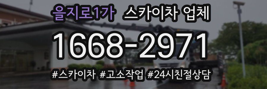 을지로1가 스카이차 업체