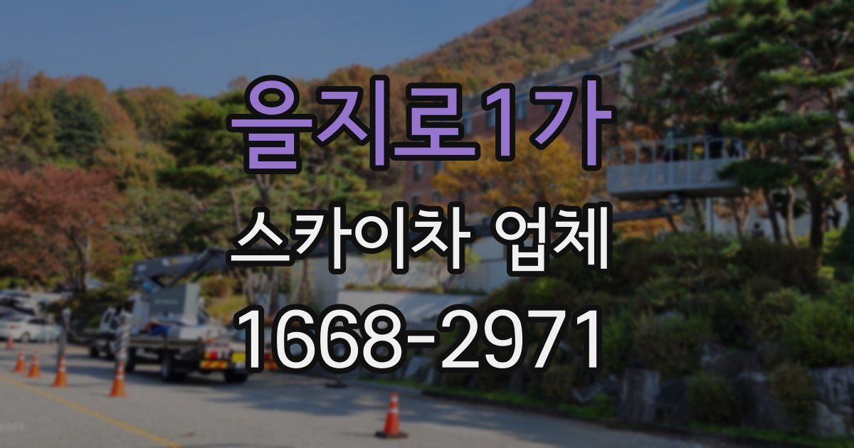 을지로1가 스카이차 업체