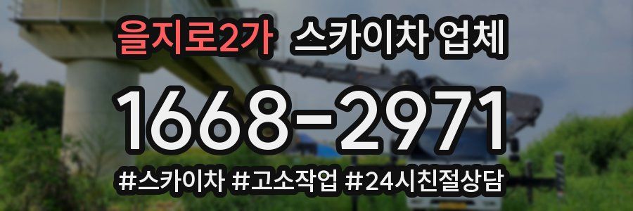 을지로2가 스카이차 업체