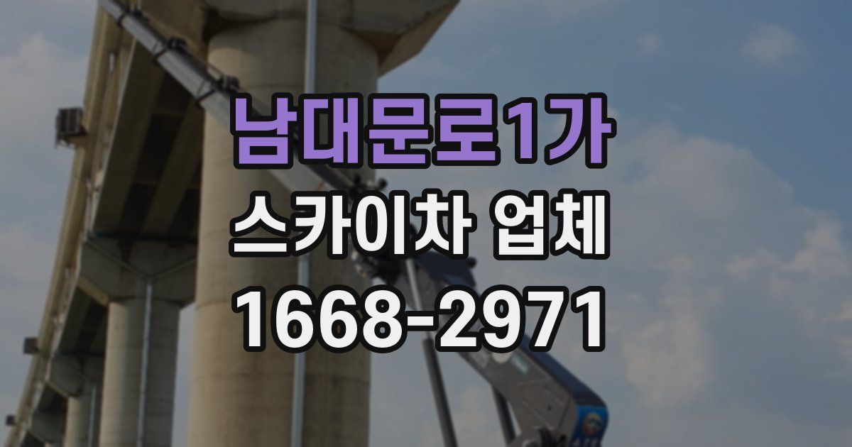 남대문로1가 스카이차 업체