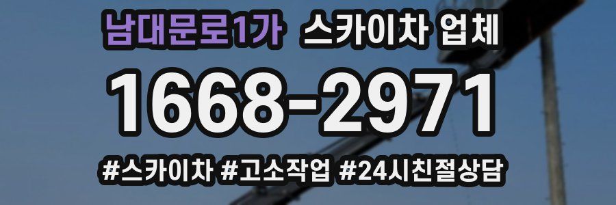 남대문로1가 스카이차 업체