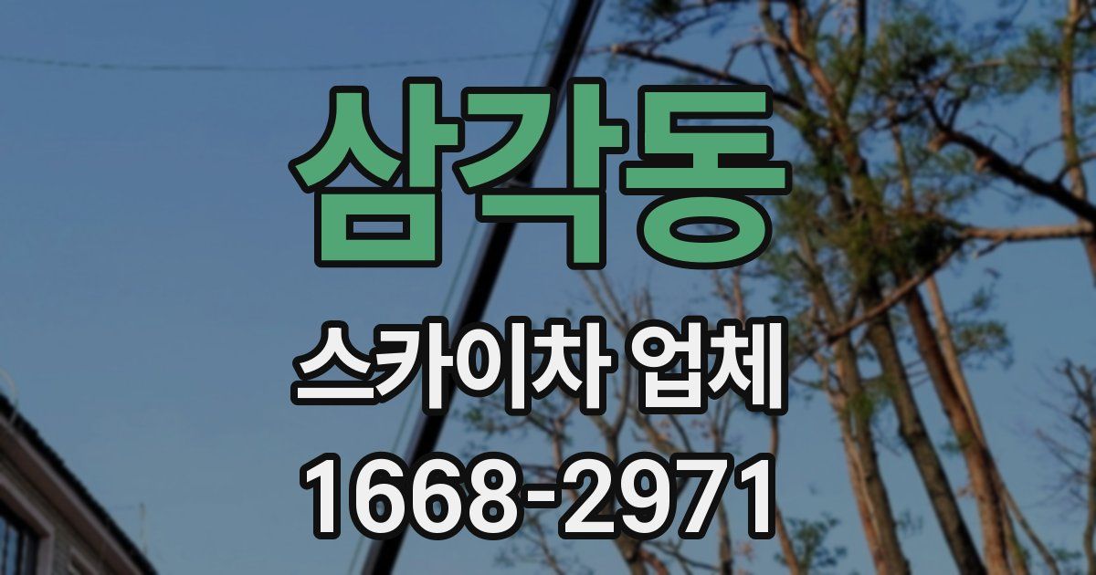 삼각동 스카이차 업체