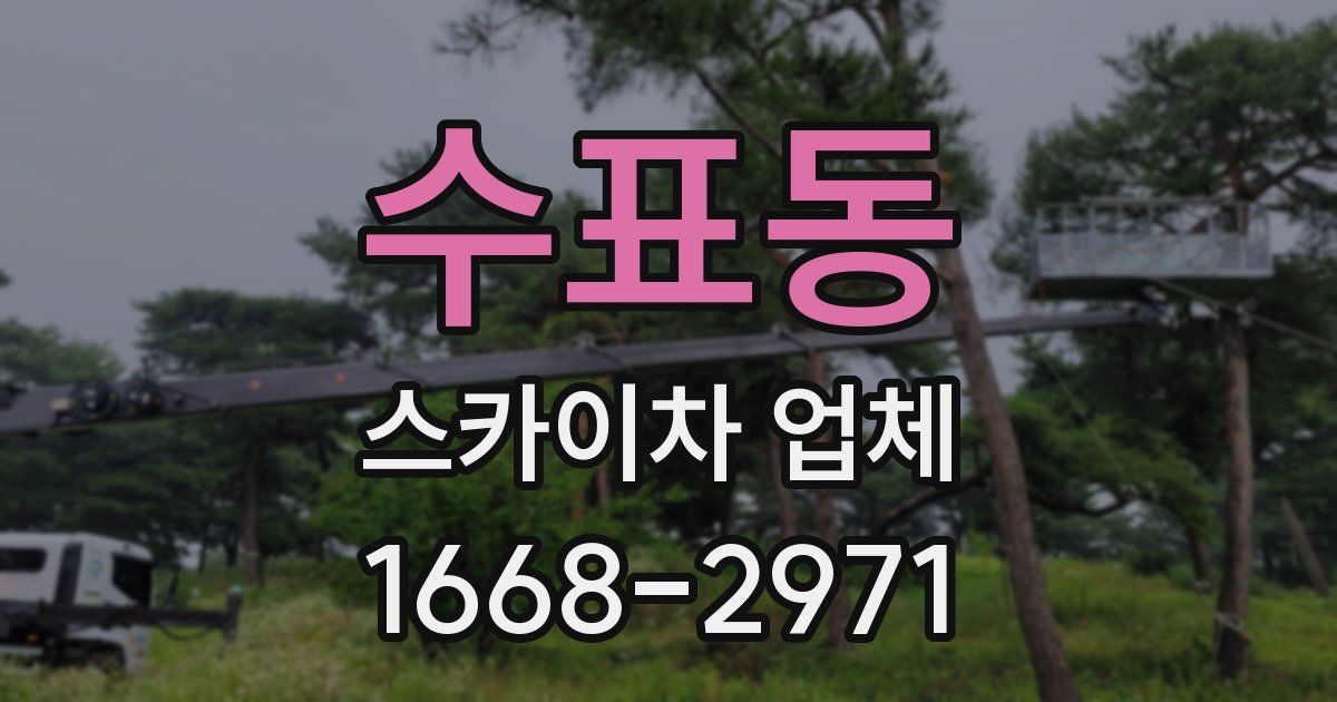 수표동 스카이차 업체