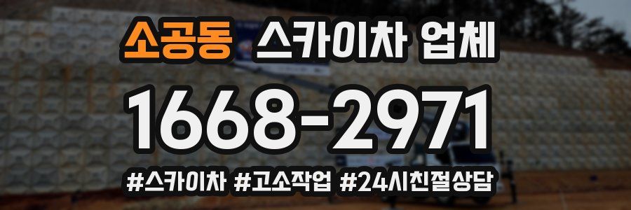 소공동 스카이차 업체