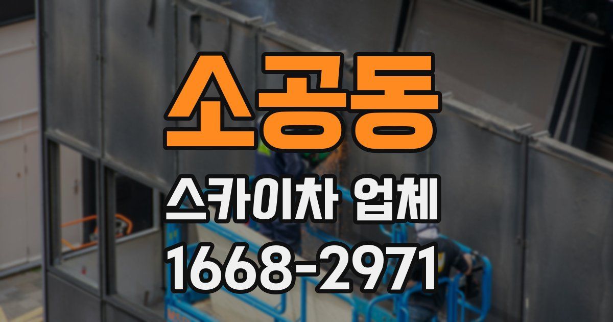 소공동 스카이차 업체