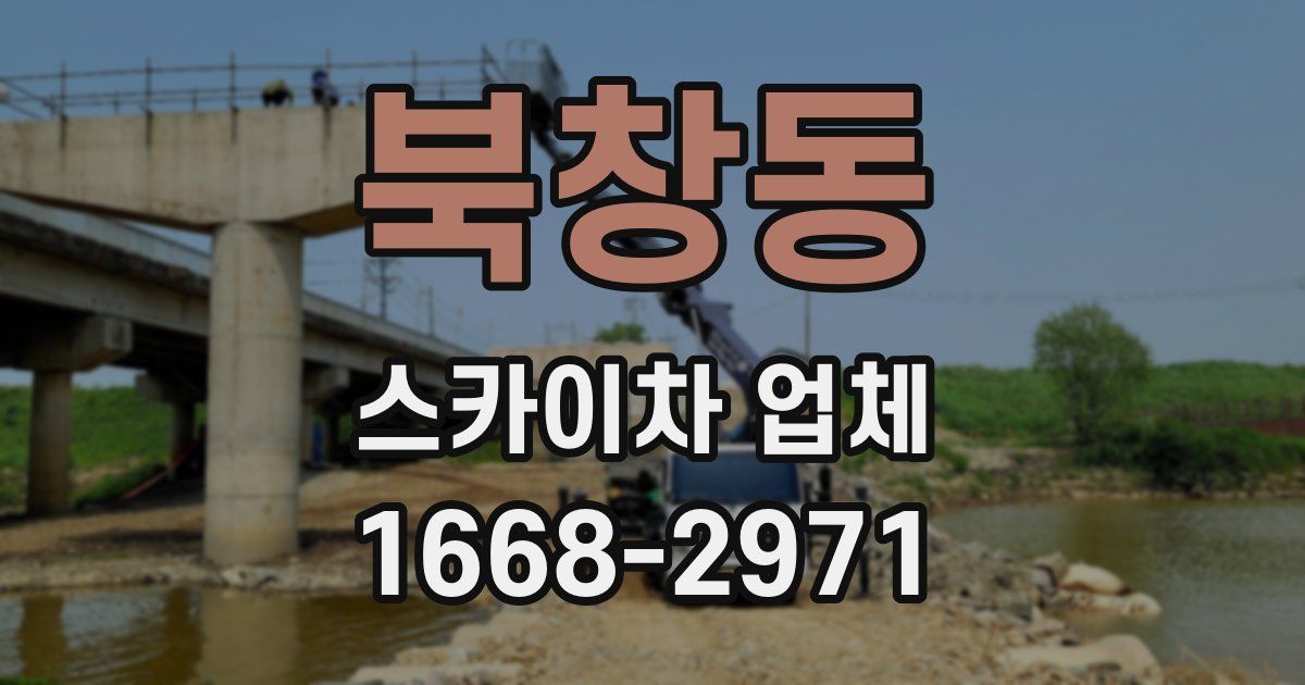북창동 스카이차 업체