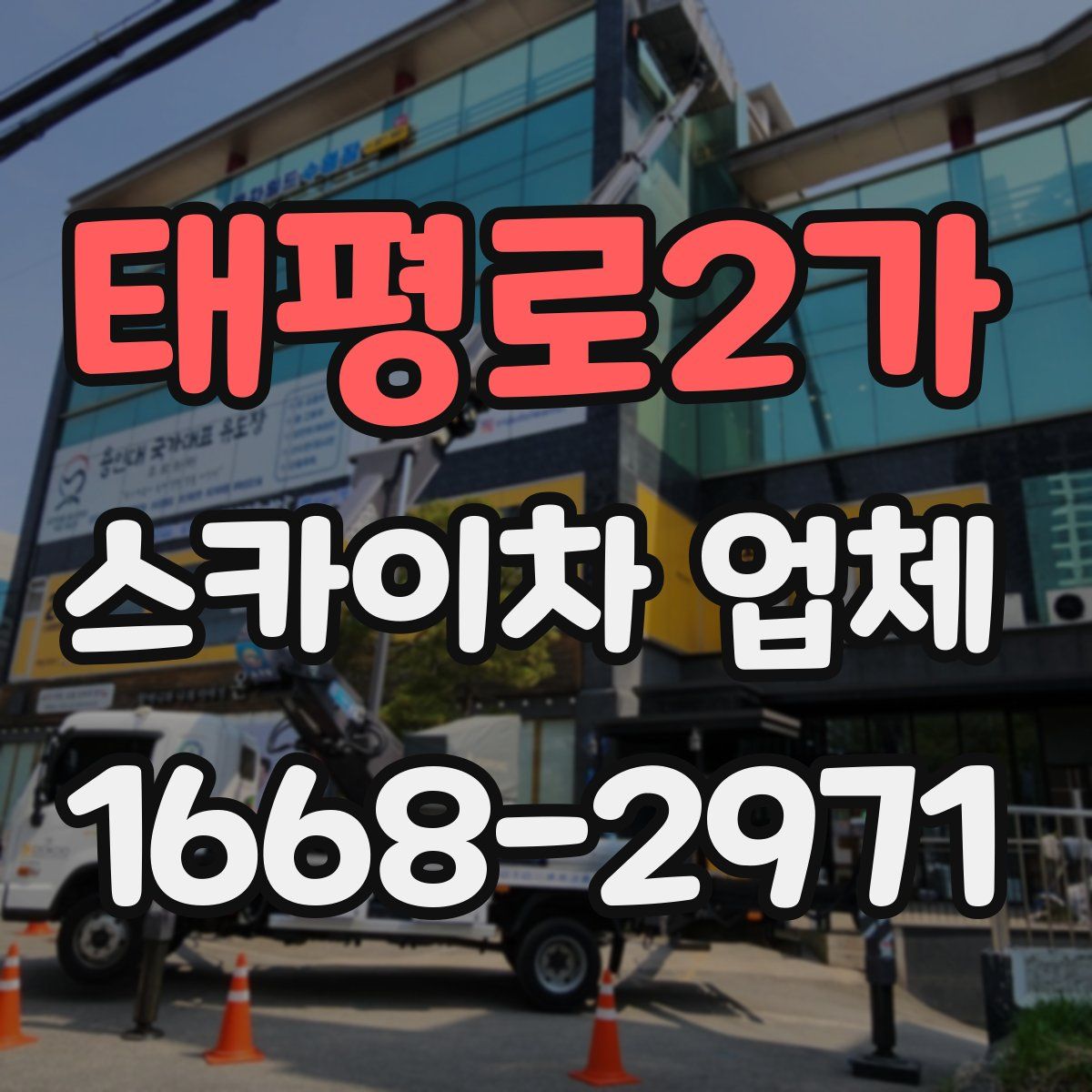 태평로2가 스카이차 업체