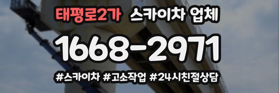 태평로2가 스카이차 업체