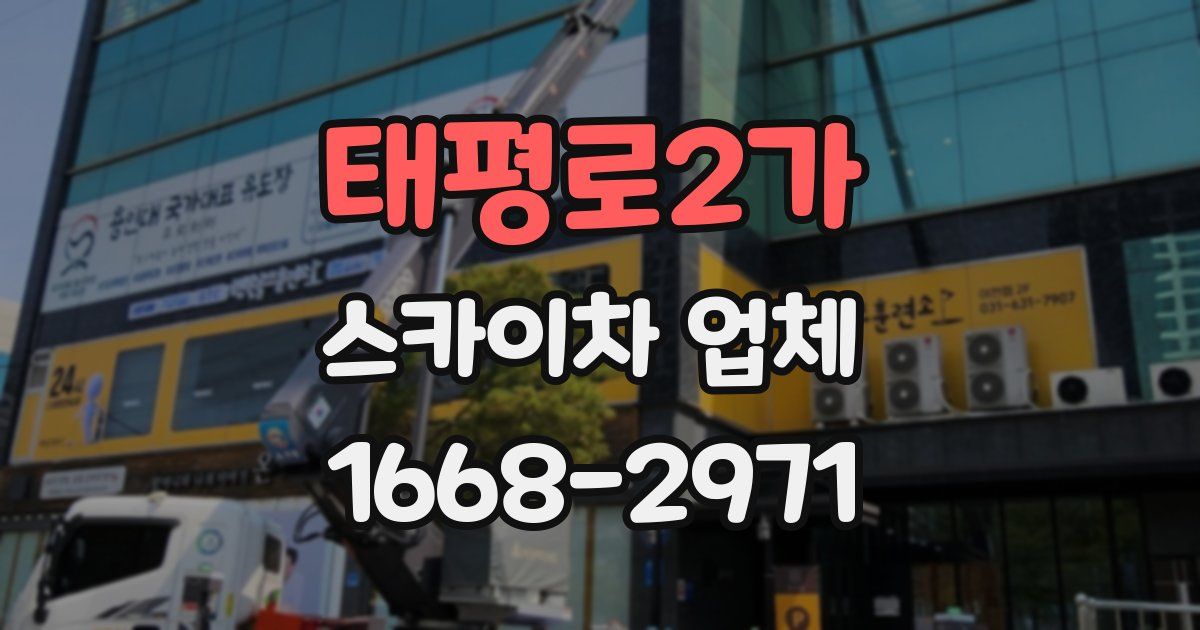태평로2가 스카이차 업체