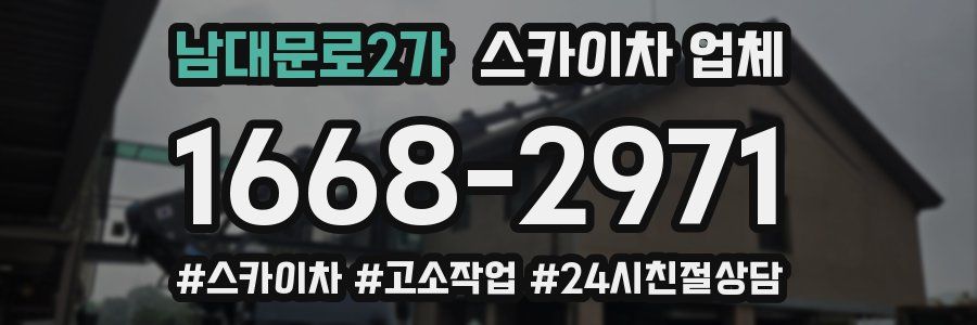 남대문로2가 스카이차 업체