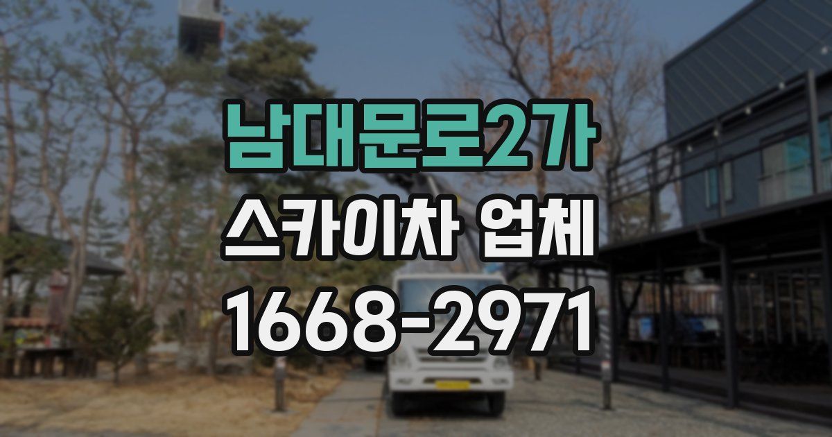 남대문로2가 스카이차 업체