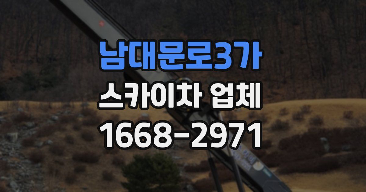 남대문로3가 스카이차 업체