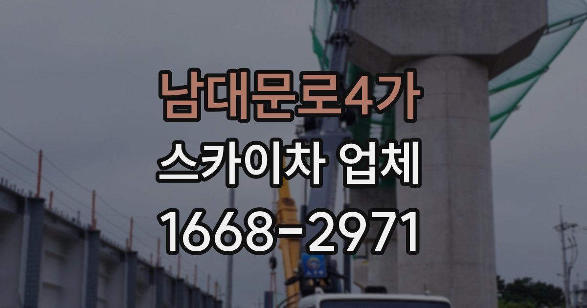 남대문로4가 스카이차 업체