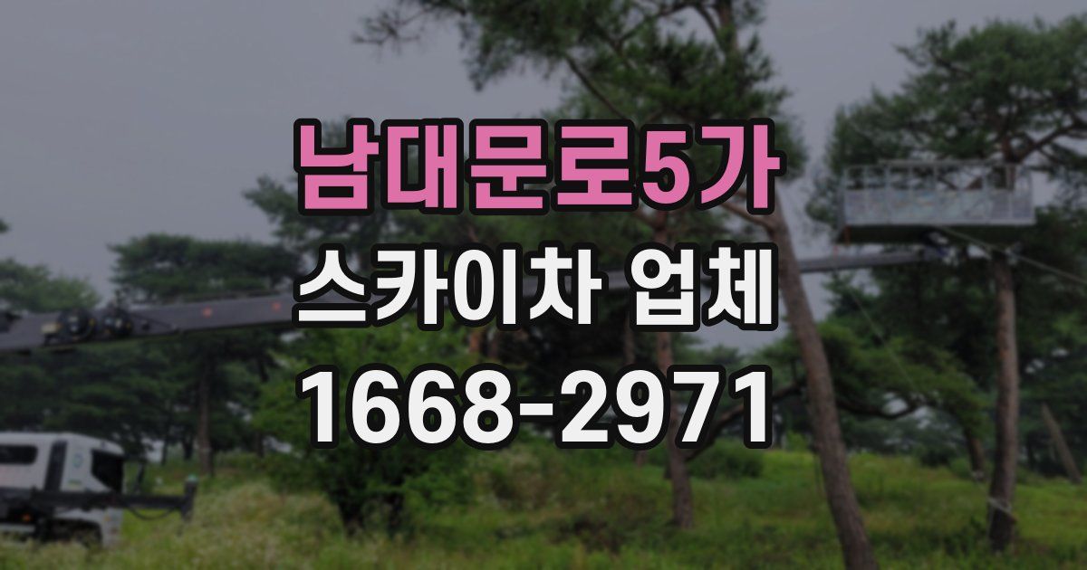 남대문로5가 스카이차 업체