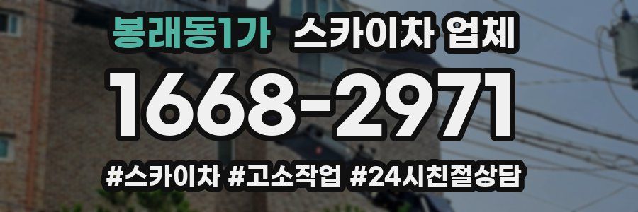 봉래동1가 스카이차 업체