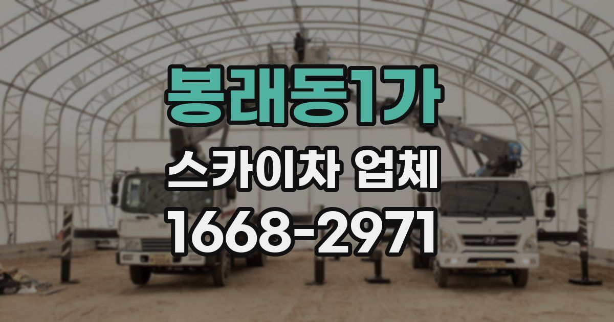 봉래동1가 스카이차 업체