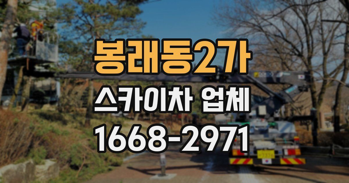 봉래동2가 스카이차 업체