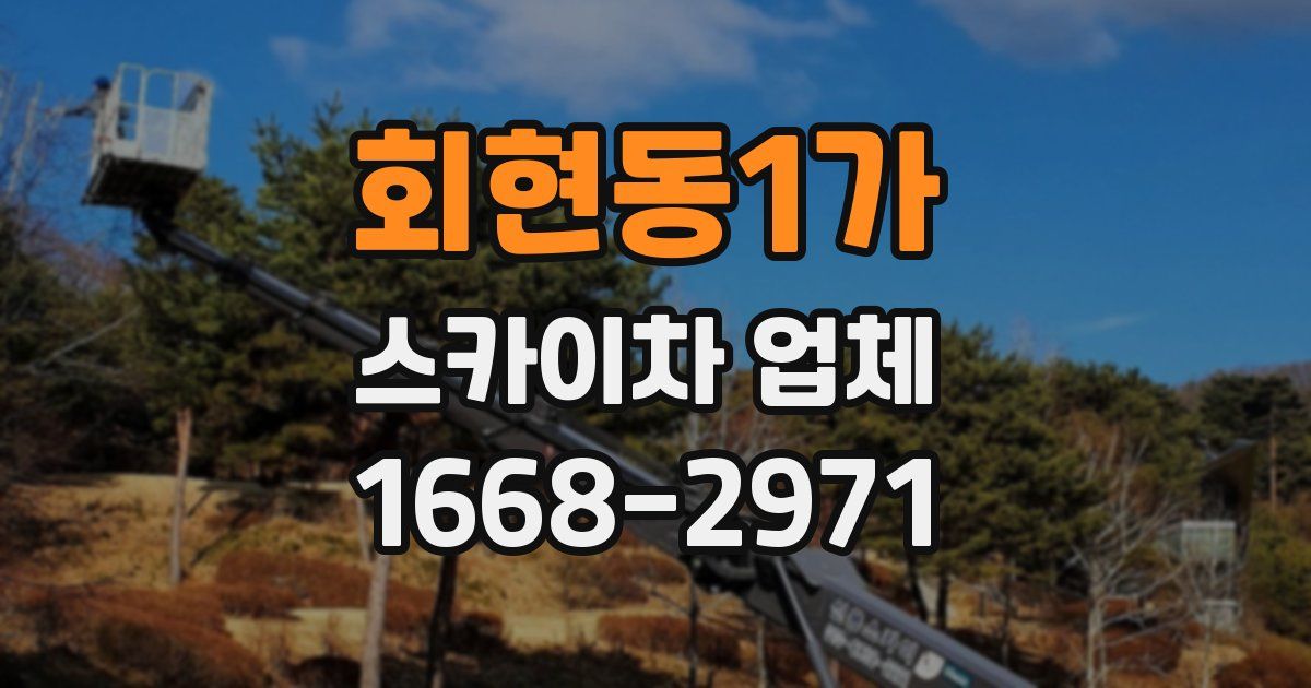 회현동1가 스카이차 업체