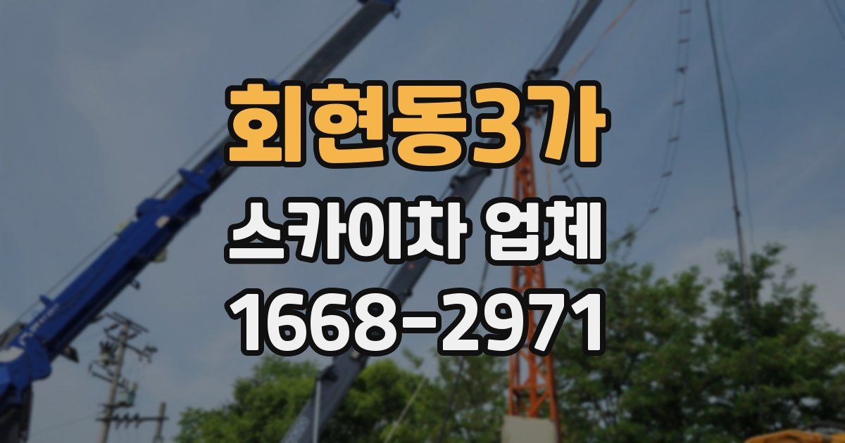 회현동3가 스카이차 업체