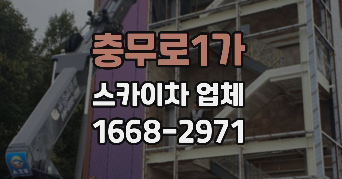 충무로1가 스카이차 업체