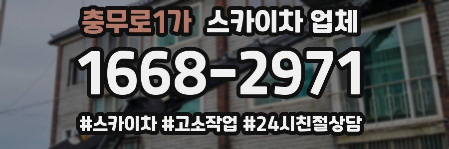 충무로1가 스카이차 업체