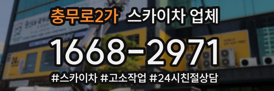 충무로2가 스카이차 업체