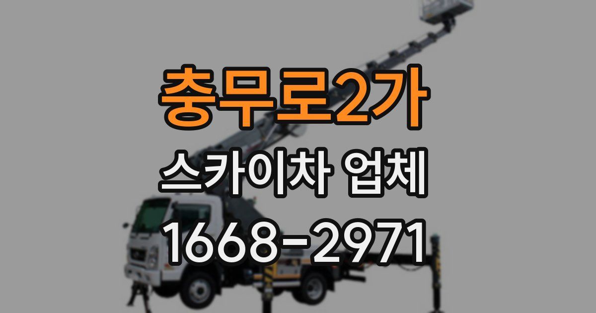 충무로2가 스카이차 업체